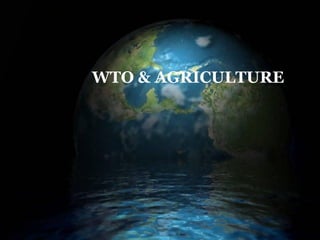 WTO – AGRICULTURE
WTO & AGRICULTURE
 