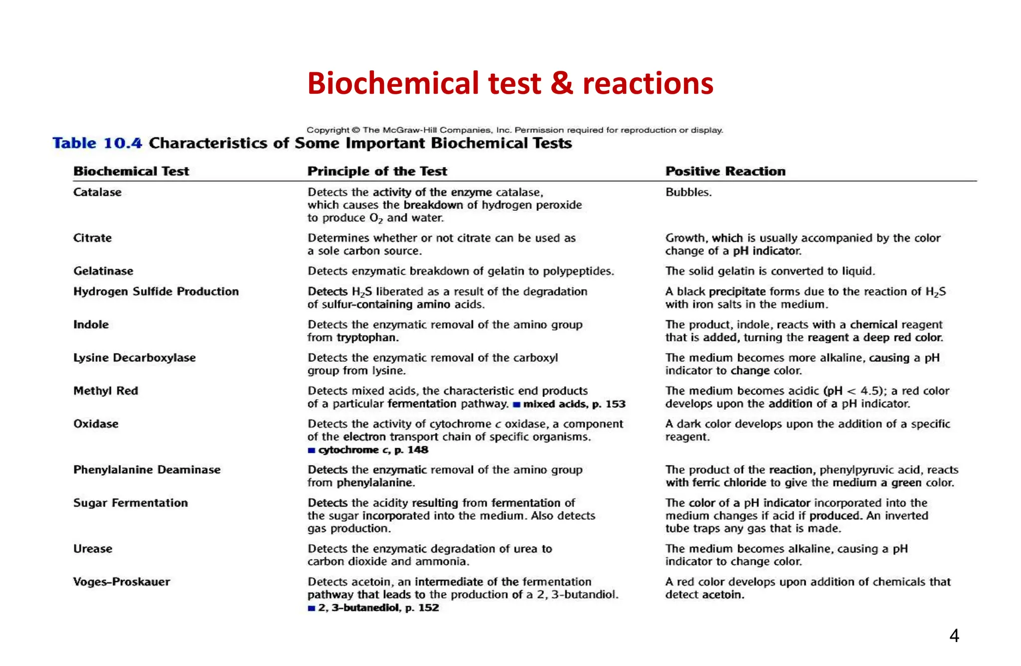 Chapter 10 Biochemical Tests pptx Bacteriology PPTX