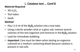 catalase test: purpose, principle, procedure, results... Chapter 10 Biochemical tests.pptx bacteriology | PPTX