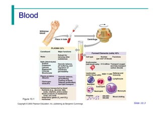Chapter 10 blood ppt.pdf