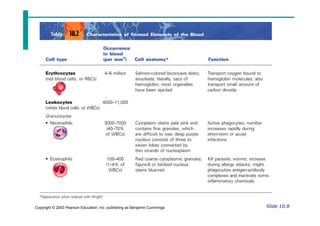 Chapter 10 blood ppt.pdf