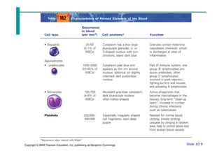 Chapter 10 blood ppt.pdf
