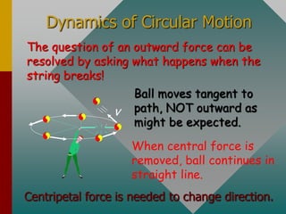 Dynamics of Circular Motion
The question of an outward force can be
resolved by asking what happens when the
string breaks!
When central force is
removed, ball continues in
straight line.
v
Ball moves tangent to
path, NOT outward as
might be expected.
Centripetal force is needed to change direction.
 