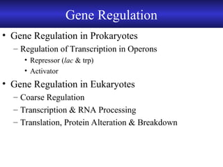 Chapter 10 Gene Regulation in Human Chromosomes | PPT