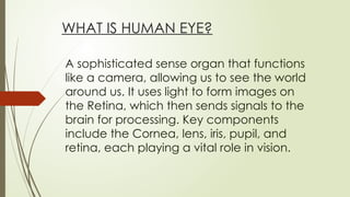 CHAPTER 10 human eye.pptx the human eye. | PPTX