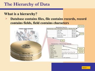 The Hierarchy of Data What is a  hierarchy ? Database contains files, file contains records, record contains fields, field contains characters Next 