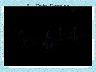 II     Dairy Farming
• Most important type of commercial agriculture near
  urban areas in North East USA and SE Canada and NW
  Europe
• Also important in Russia, Australia, and New Zealand.
• Milk can spoil quickly so dairy farms are located within a
  MILKSHED or a ring surrounding a city from which
  milked can be supplies without spoiling.
• The farther the dairy farm is from the city, the less fresh
  milk it produces, instead selling butter, cheese, or other
  products. Some countries like New Zealand, one of the
  largest dairy producing countries only sells 5% as milk
• Dairy farmers face rising costs and lower profitability.
  The number of dairy farms has declined by 2/3 however
  the number of cows has only decreased slightly and
  production has actually risen
 