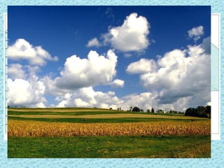 III Grain Farming
•   Grains are seeds from grasses and include wheat, corn, oats,
    barley, rice, millet, and others
•   Grown mainly for human consumption
•   Wheat is the main grain crop, it has a high value, stores well, and
    ships well.
•   Three important areas in N.A.
     – Winter wheat in Kansas, Colorado and Oklahoma
     – Spring wheat in Dakotas, Montana, and Saskatchewan in Canada
     – Washington State
•   Heavily mechanized using first the reaper, now the combine. Some
    farmers have two farms in different regions so they have year round
    work and income
•   Wheat is the leading export crop in international trade. USA and
    Canada provide half of worlds wheat and prairies are know as the
    “bread basket”
 