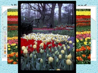 VI. Commercial gardening and
          Fruit Farming
• Found mainly in the U.S. Southeast.
• Crops include apples, asparagus, cherries, lettuce,
  mushrooms, tomatoes and other foods that consumers
  demand
• Sometimes called truck farming, truck was a Middle
  English word meaning bartering.
• Highly mechanized and scientific experimenting with
  seeds and fertilizers to maximize production.
• Often keep cost down by hiring migrant workers
• Also includes specialty farms for things like peppers,
  strawberries and nursery plants
 