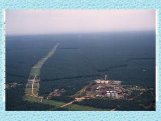 VII Plantation Farming
• Type of commercial agriculture found in
  LDCs but owned by corporations from
  MDCs and grow crops for consumption in
  MDCs
• Specialize in one or two crops usually
  things like sugar, coffee, cotton, tobacco.
• Before civil war plantations were important
  in the Southeast USA.
 