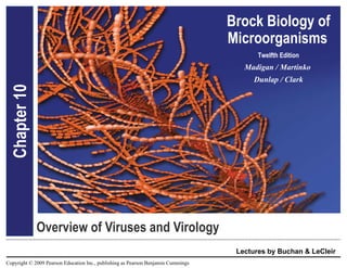 Overview of Viruses and Virology Chapter 10 Lectures by Buchan & LeCleir 