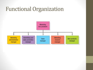 Functional Organization
 