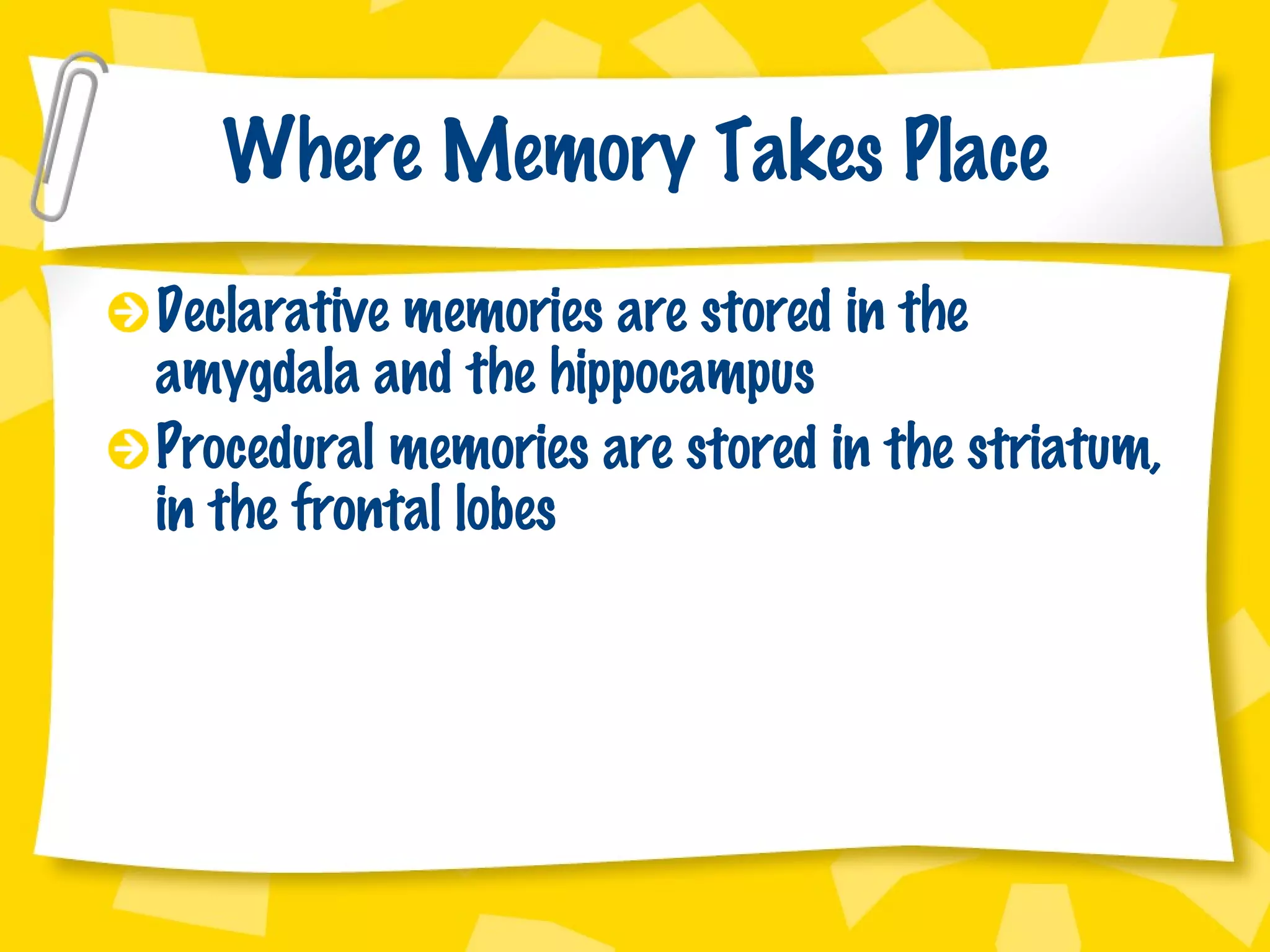 Where Memory Takes Place Declarative memories are stored in the amygdala and the hippocampus Procedural memories are stored in the striatum, in the frontal lobes 