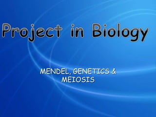 MENDEL, GENETICS &
MEIOSIS
 