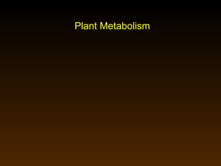 Plant Metabolism 