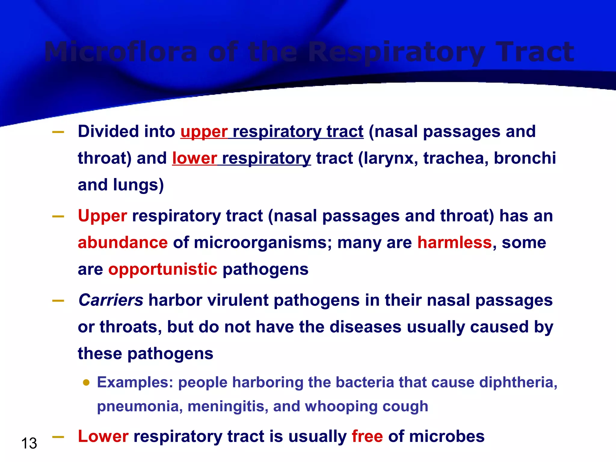 Microflora of the Respiratory Tract
–

Divided into upper respiratory tract (nasal passages and
throat) and lower respiratory tract (larynx, trachea, bronchi
and lungs)

–

Upper respiratory tract (nasal passages and throat) has an
abundance of microorganisms; many are harmless, some
are opportunistic pathogens

–

Carriers harbor virulent pathogens in their nasal passages
or throats, but do not have the diseases usually caused by
these pathogens

• Examples: people harboring the bacteria that cause diphtheria,
pneumonia, meningitis, and whooping cough
13

–

Lower respiratory tract is usually free of microbes

 