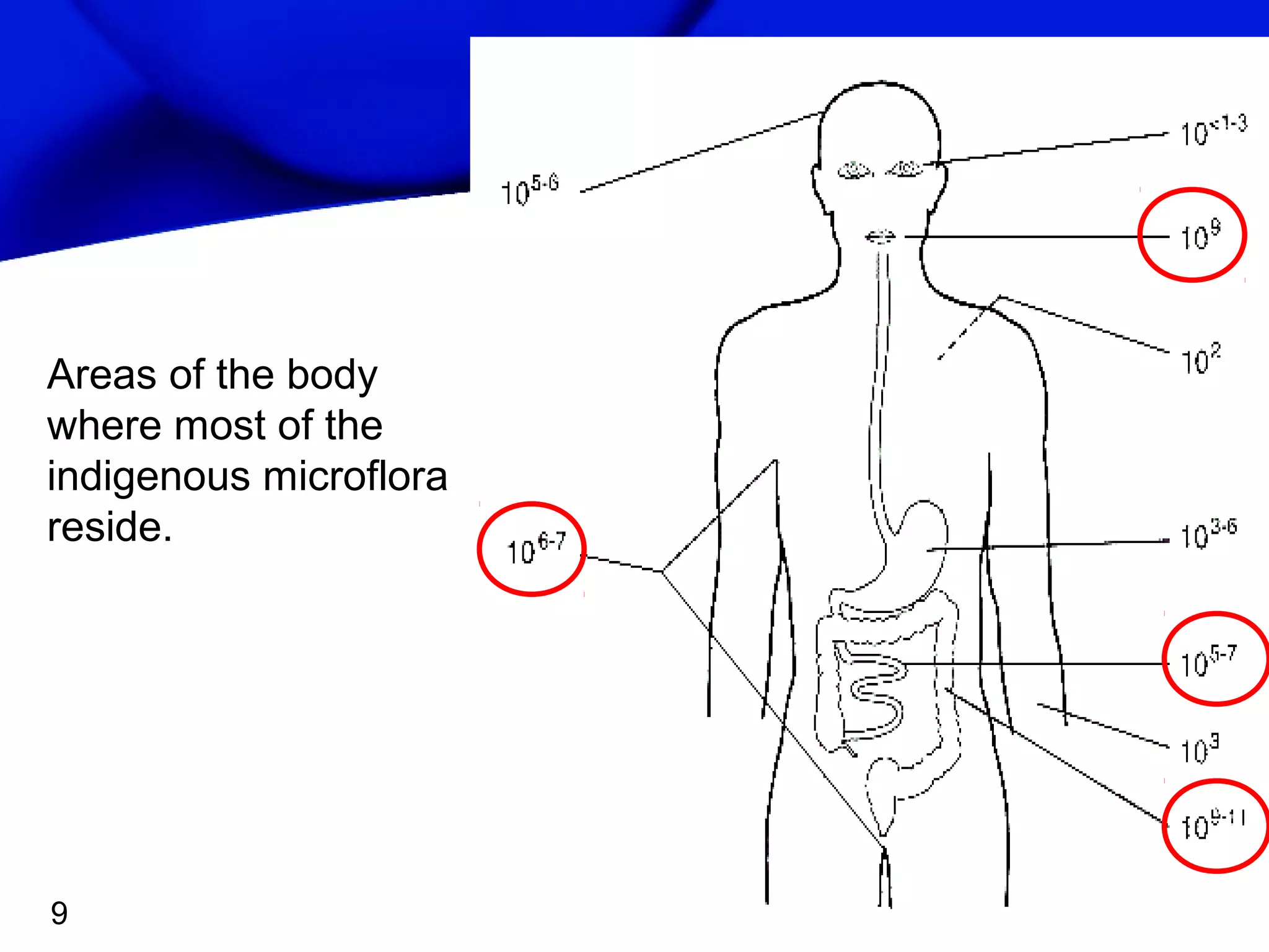 Areas of the body
where most of the
indigenous microflora
reside.

9

 