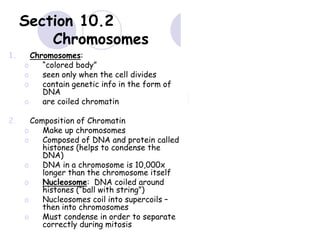 Section 10.2
Chromosomes
1. Chromosomes:
o “colored body”
o seen only when the cell divides
o contain genetic info in the form of
DNA
o are coiled chromatin
2. Composition of Chromatin
o Make up chromosomes
o Composed of DNA and protein called
histones (helps to condense the
DNA)
o DNA in a chromosome is 10,000x
longer than the chromosome itself
o Nucleosome: DNA coiled around
histones (“ball with string”)
o Nucleosomes coil into supercoils –
then into chromosomes
o Must condense in order to separate
correctly during mitosis
 