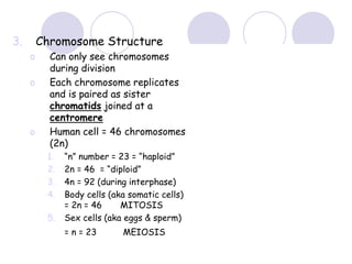 3. Chromosome Structure
o Can only see chromosomes
during division
o Each chromosome replicates
and is paired as sister
chromatids joined at a
centromere
o Human cell = 46 chromosomes
(2n)
1. “n” number = 23 = “haploid”
2. 2n = 46 = “diploid”
3. 4n = 92 (during interphase)
4. Body cells (aka somatic cells)
= 2n = 46 MITOSIS
5. Sex cells (aka eggs & sperm)
= n = 23 MEIOSIS
 