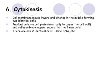 6. Cytokinesis
 Cell membrane moves inward and pinches in the middle forming
two identical cells
 In plant cells – a cell plate (eventually becomes the cell wall)
and cell membrane appear separating the 2 new cells
 There are now 2 identical cells – same DNA, etc.
 