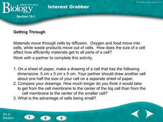 Interest Grabber ,[object Object],[object Object],[object Object],Section 10-1 1. On a sheet of paper, make a drawing of a cell that has the following dimensions: 5 cm x 5 cm x 5 cm. Your partner should draw another cell about one half the size of your cell on a separate sheet of paper.  2. Compare your drawings. How much longer do you think it would take to get from the cell membrane to the center of the big cell than from the  cell membrane to the center of the smaller cell? 3. What is the advantage of cells being small? Go to Section: 