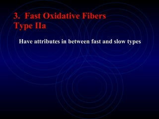 3.  Fast Oxidative Fibers Type IIa Have attributes in between fast and slow types  