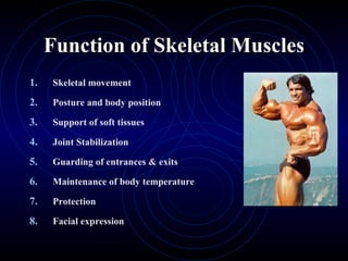 Function of Skeletal Muscles Skeletal movement  Posture and body position Support of soft tissues Joint Stabilization Guarding of entrances & exits Maintenance of body temperature Protection Facial expression 