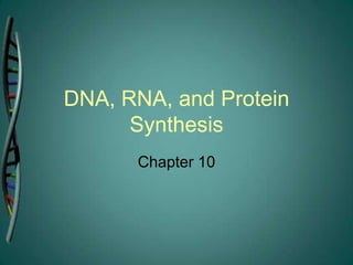 DNA, RNA, and Protein
      Synthesis
      Chapter 10
 