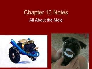 Chapter 10 Notes
All About the Mole
 