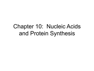 Chapter 10: Nucleic Acids
and Protein Synthesis
 
