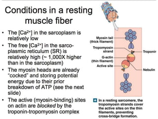 © 2015 Pearson Education, Inc.
 