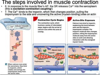 © 2015 Pearson Education, Inc.
 