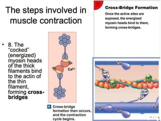 © 2015 Pearson Education, Inc.
 