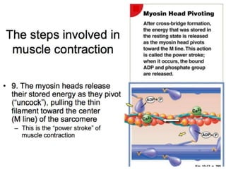 © 2015 Pearson Education, Inc.
 