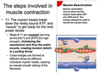 © 2015 Pearson Education, Inc.
 