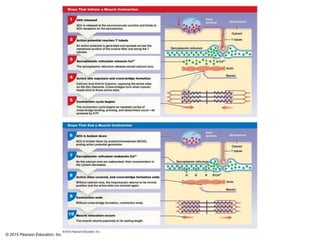 © 2015 Pearson Education, Inc.
 