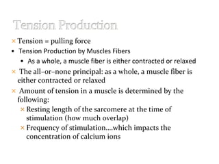  Tension = pulling force
• Tension Production by Muscles Fibers
• As a whole, a muscle fiber is either contracted or relaxed
 The all–or–none principal: as a whole, a muscle fiber is
either contracted or relaxed
 Amount of tension in a muscle is determined by the
following:
 Resting length of the sarcomere at the time of
stimulation (how much overlap)
 Frequency of stimulation….which impacts the
concentration of calcium ions
 