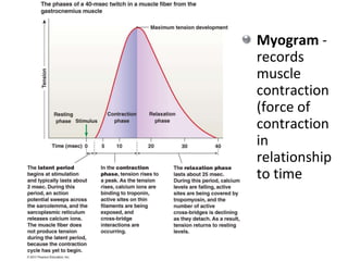 25
Myogram -
records
muscle
contraction
(force of
contraction
in
relationship
to time
 
