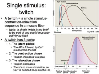 © 2015 Pearson Education, Inc.
 