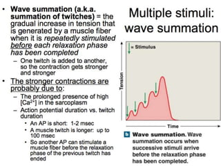© 2015 Pearson Education, Inc.
 