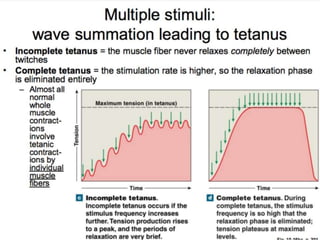 © 2015 Pearson Education, Inc.
 