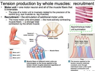 © 2015 Pearson Education, Inc.
 