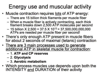 © 2015 Pearson Education, Inc.
 