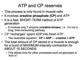 © 2015 Pearson Education, Inc.
 