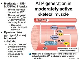 © 2015 Pearson Education, Inc.
 