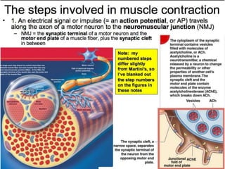 © 2015 Pearson Education, Inc.
 
