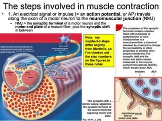 © 2015 Pearson Education, Inc.
 