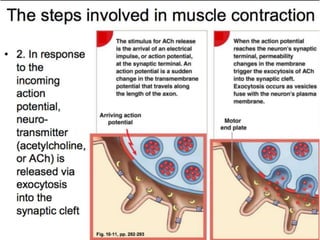 © 2015 Pearson Education, Inc.
 