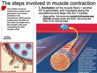 © 2015 Pearson Education, Inc.
 