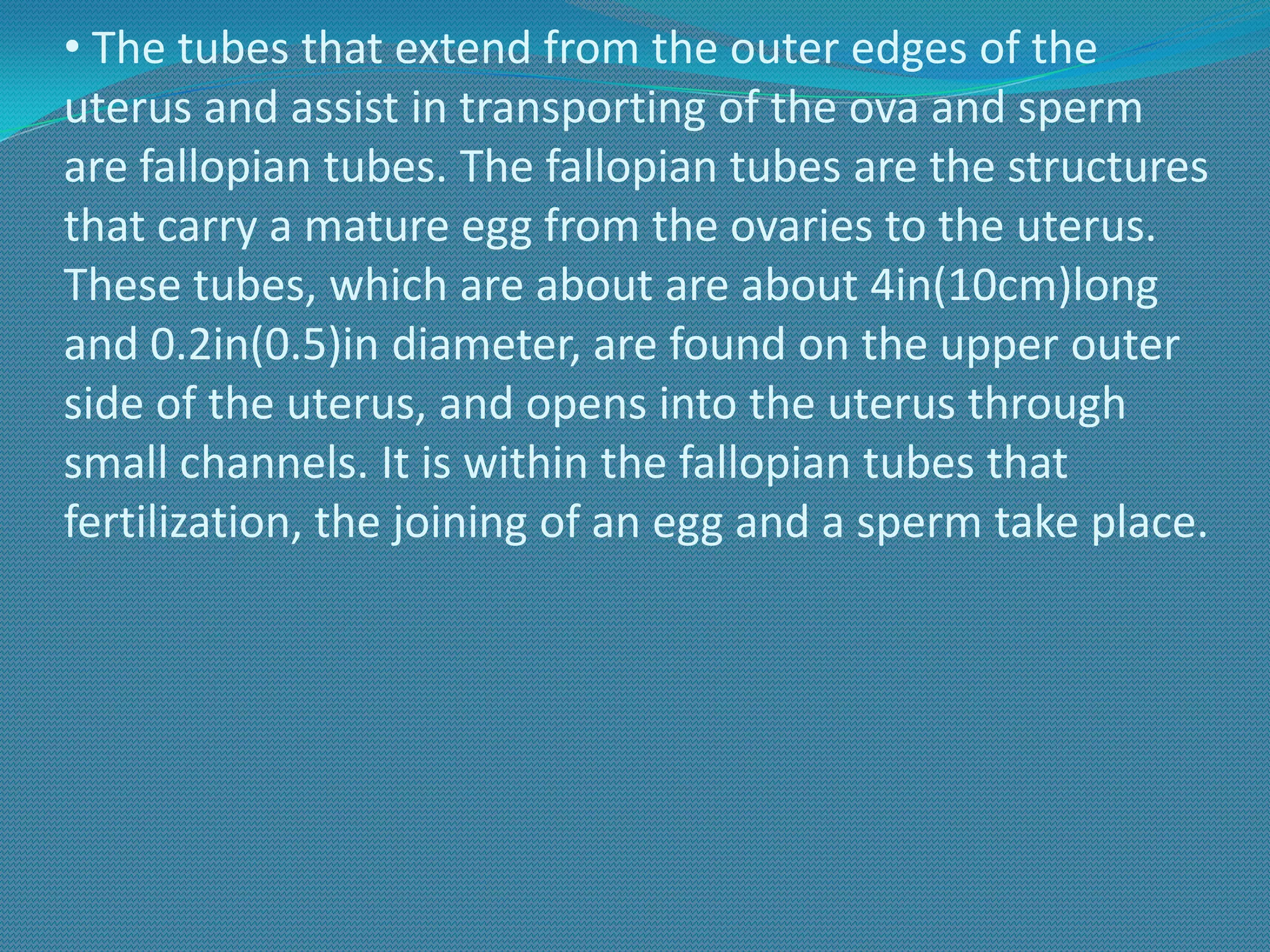 Chapter 10 powerpoint | PPT